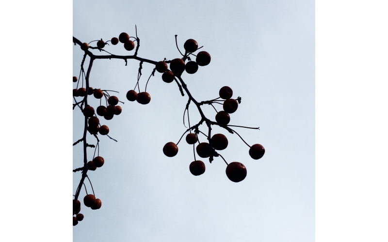 成熟设计是多年内功修炼的展现